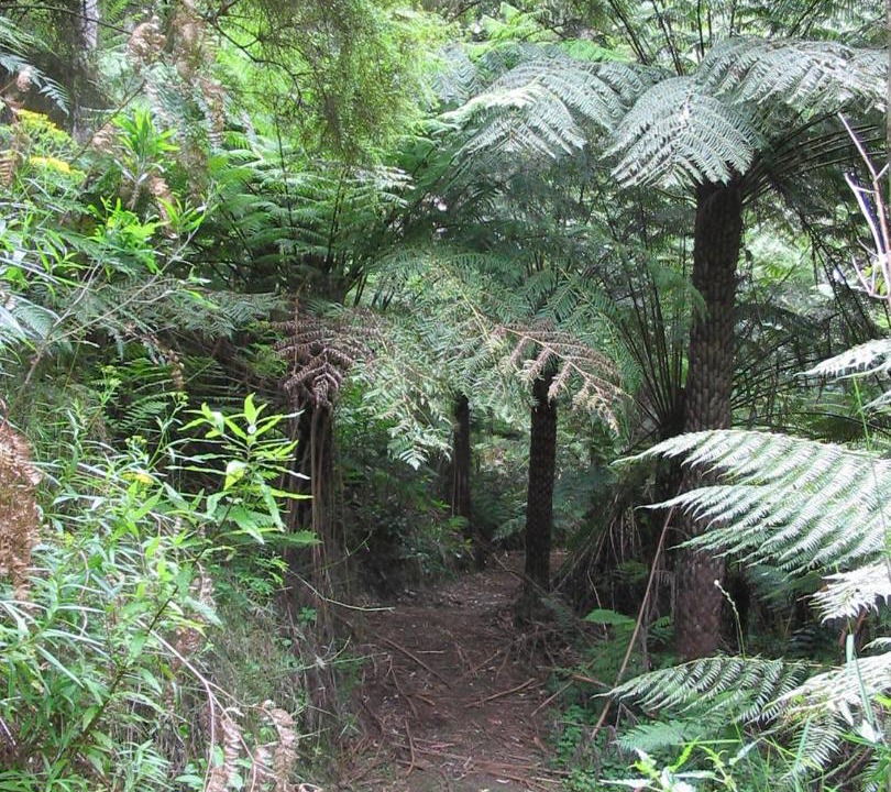 Photo of Others in Glenaire