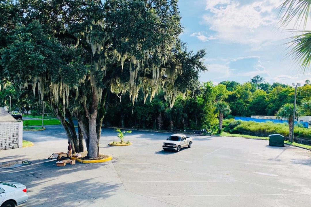 Photo of Others in Gainesville