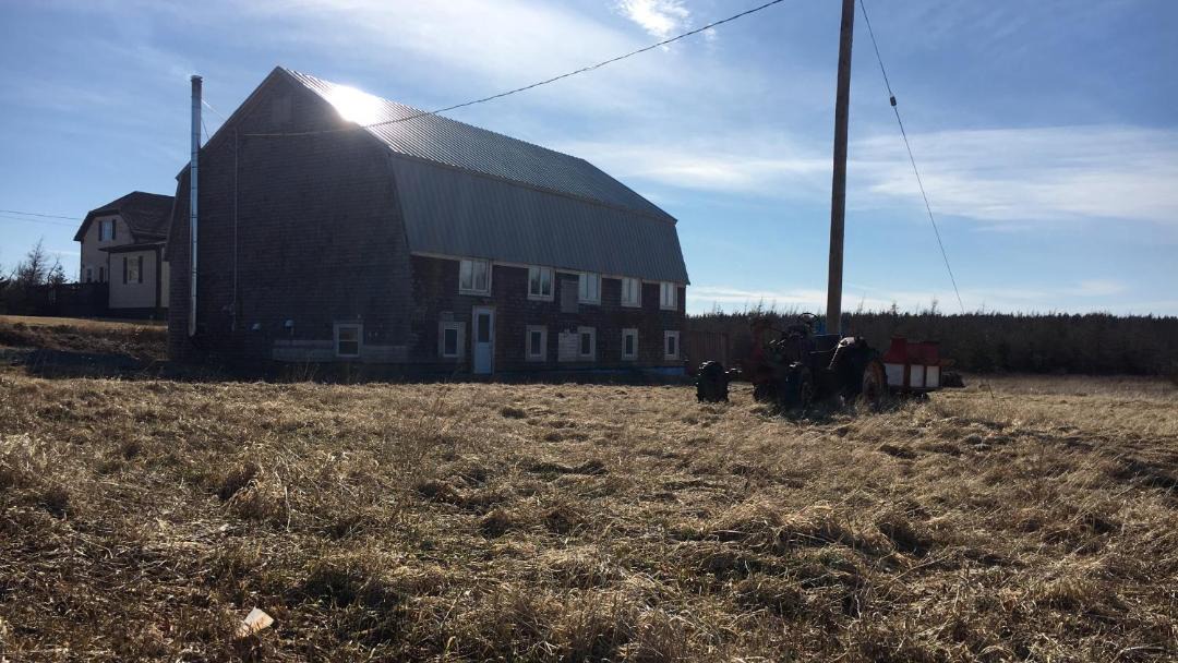 Photo of Others in Cheticamp