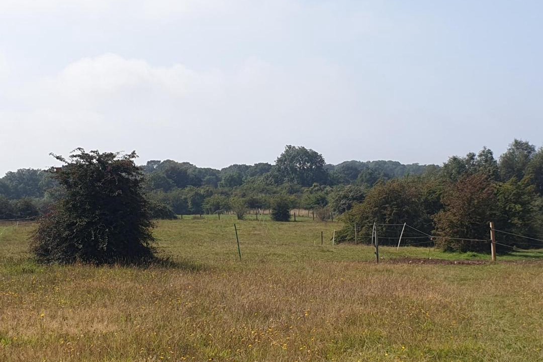 Photo of Others in Barrow Gurney