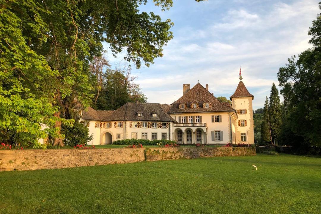 Photo of Others in Horgen District