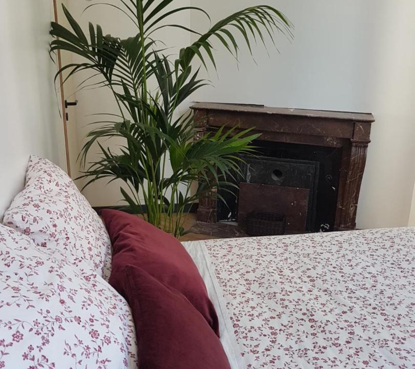 Photo of Others in Quartier Vieux Marche-Cathedrale