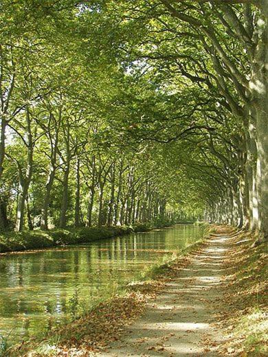 Photo of Outdoor in Quillan