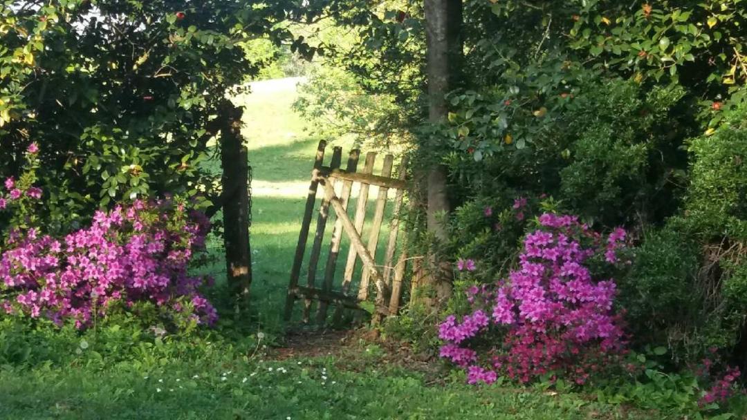 Photo of Others in Alos-Sibas-Abense