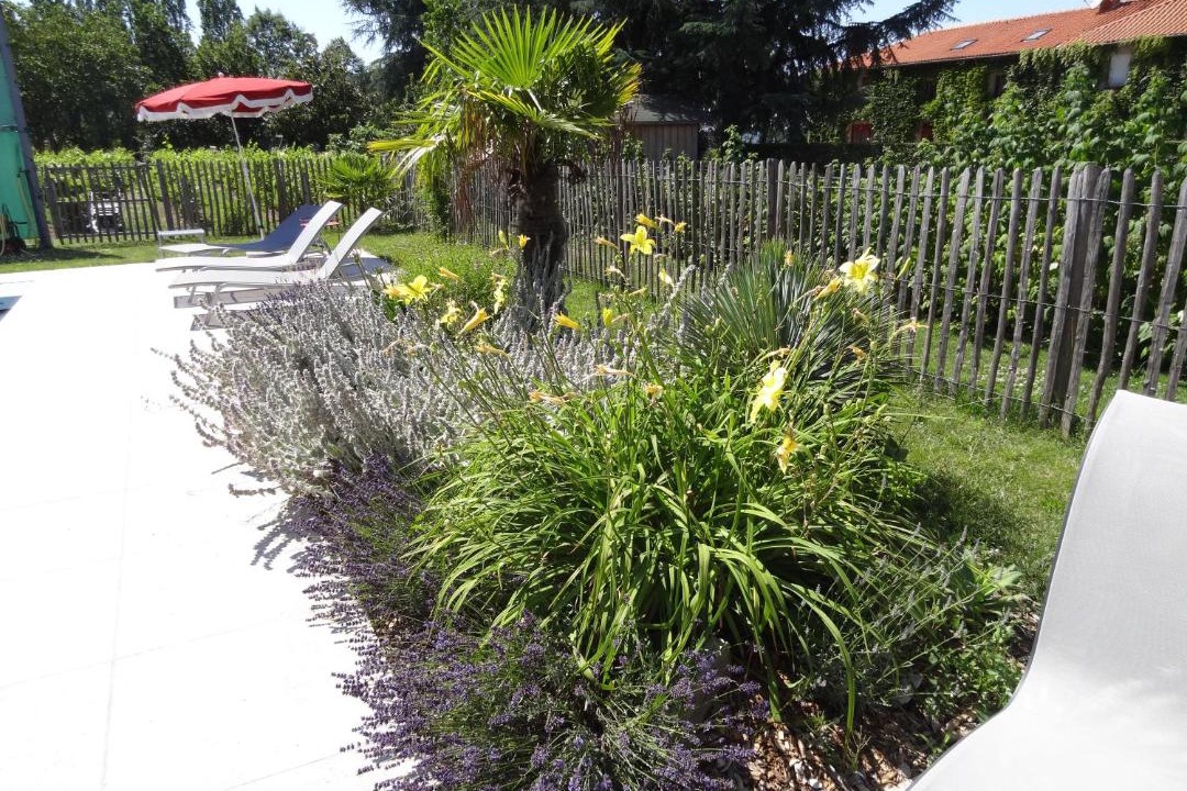 Photo of Others in Blanzac