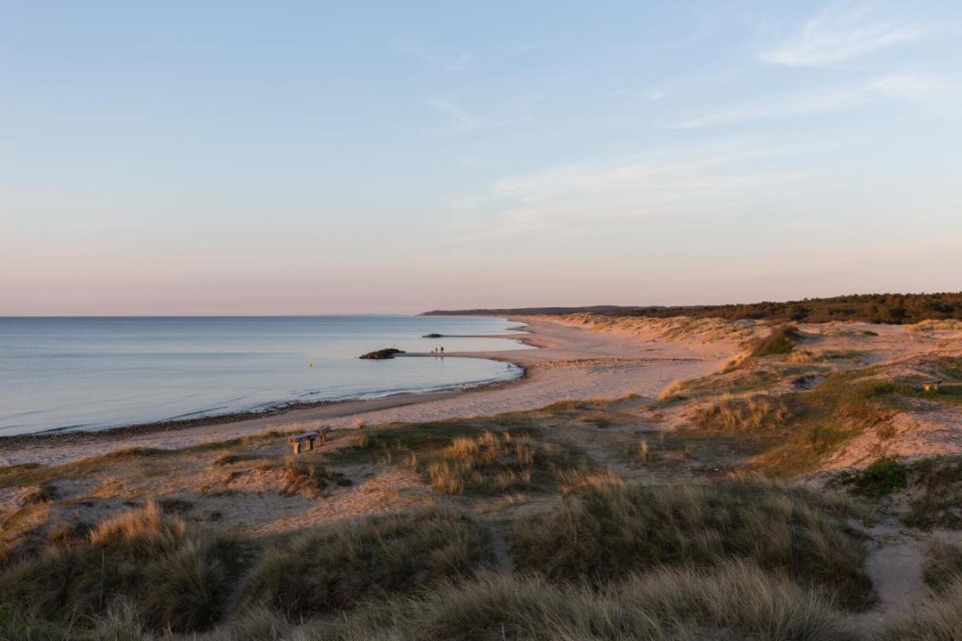 Photo of Others in Holloselund