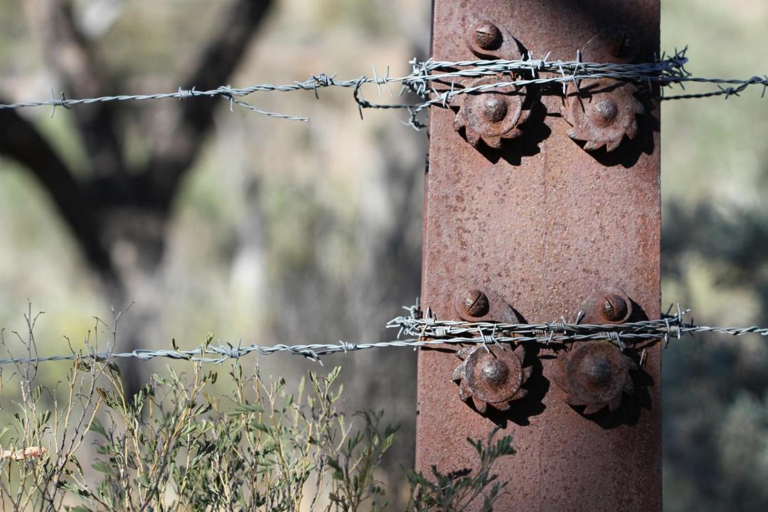 Photo of Others in Quorn