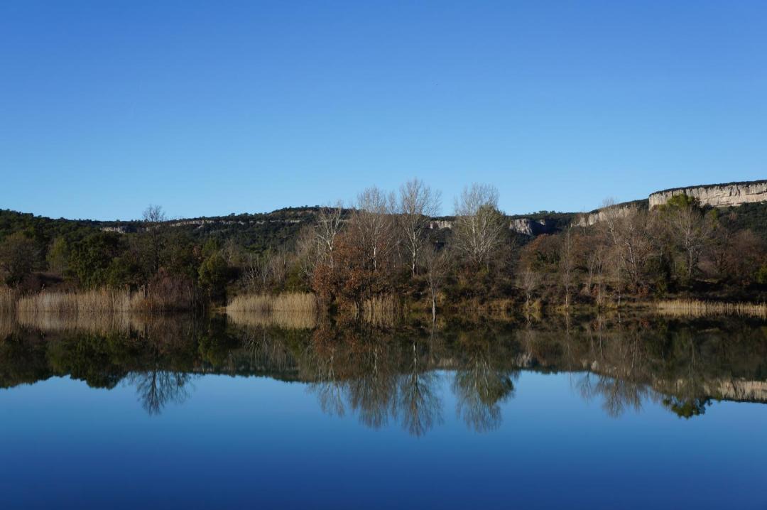 Photo of Outdoor in Claret