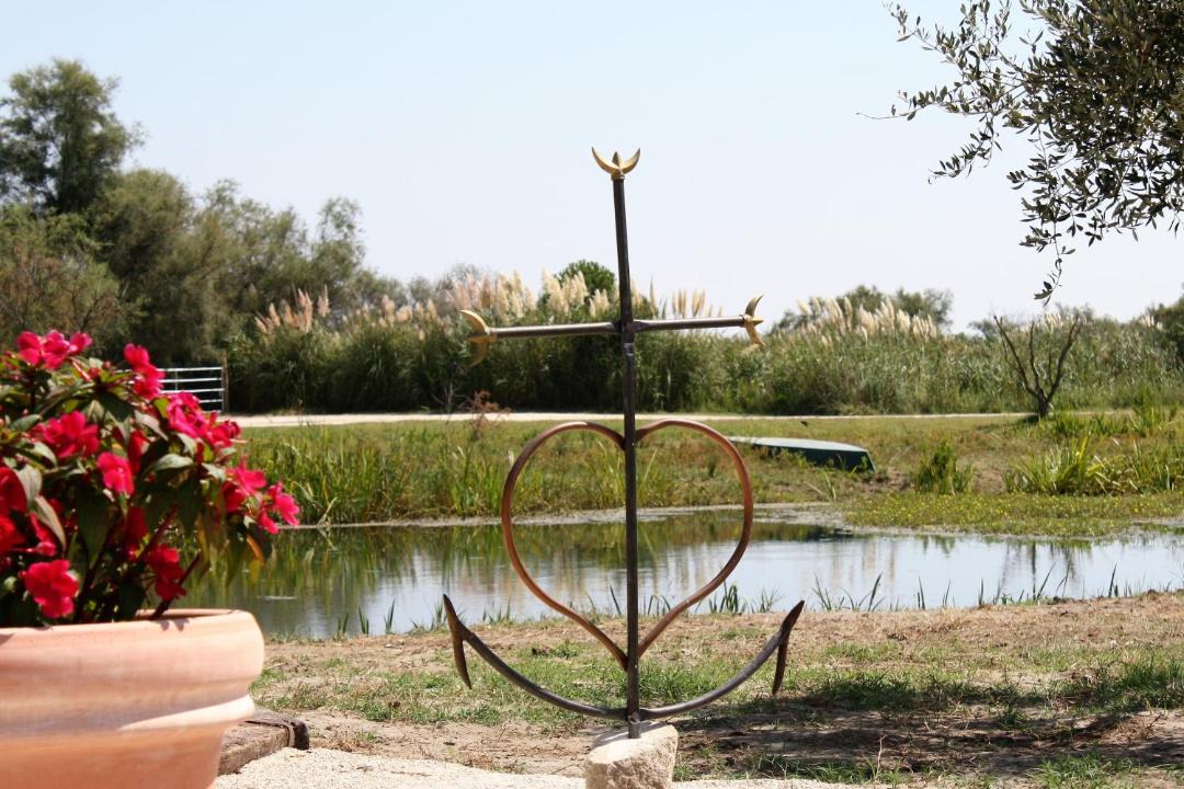 Photo of Others in Saintes-Maries-de-la-Mer