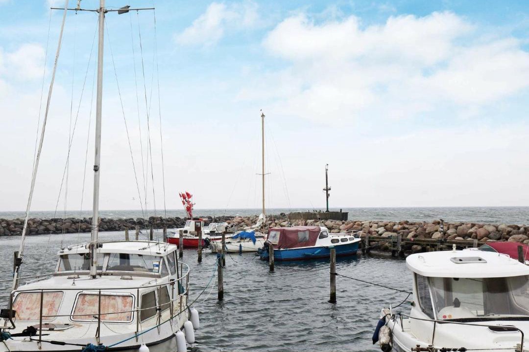 Photo of Others in Venemose