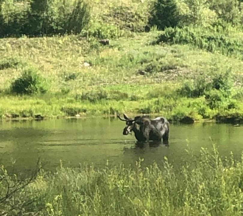 Photo of Others in Silverton