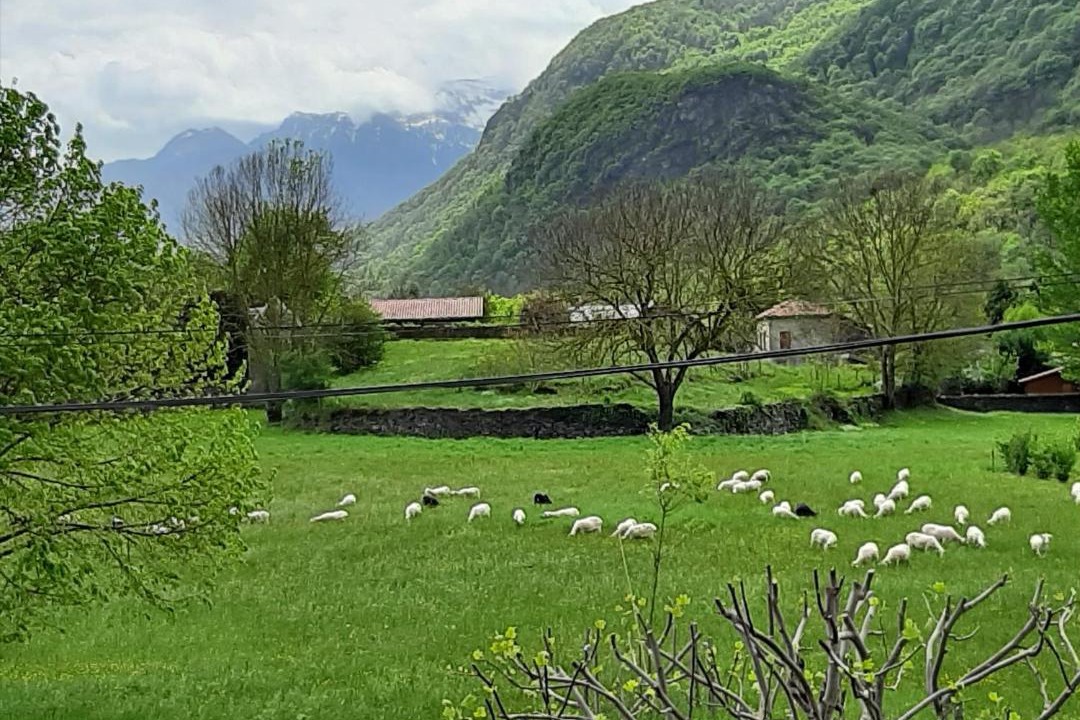 Photo of Outdoor in Salechan