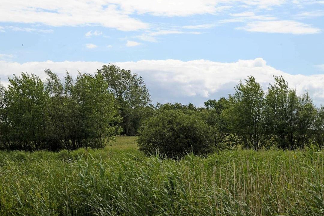 Photo of Others in Østerskov