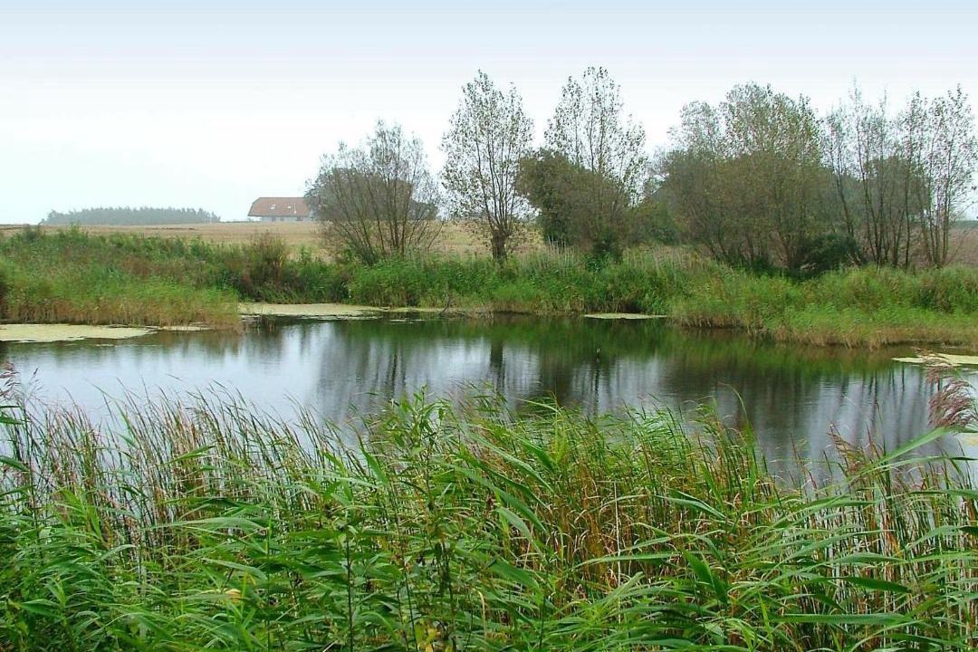 Photo of Others in Østerskov