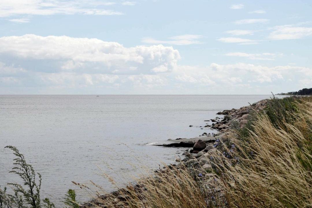Photo of Others in Østerskov