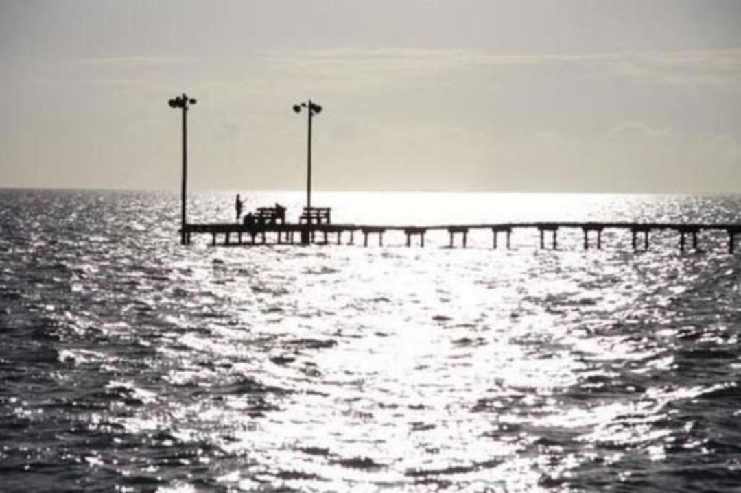 Photo of Others in Palacios