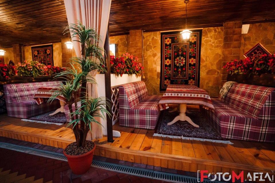 Photo of Others in Kaluga