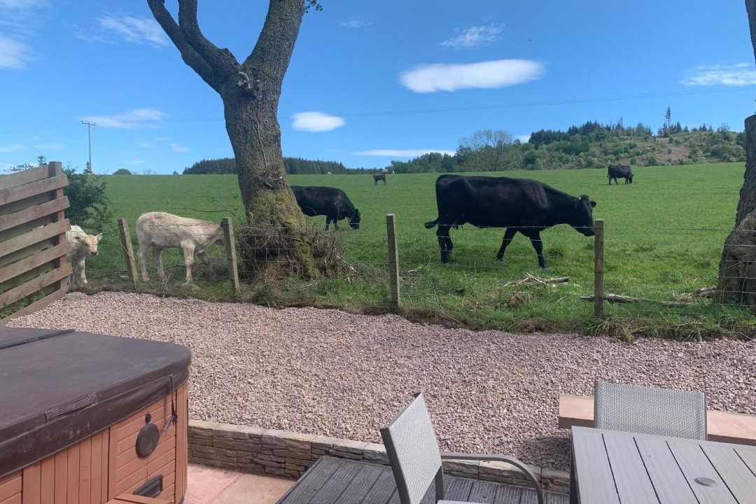 Photo of Others in Dumfries