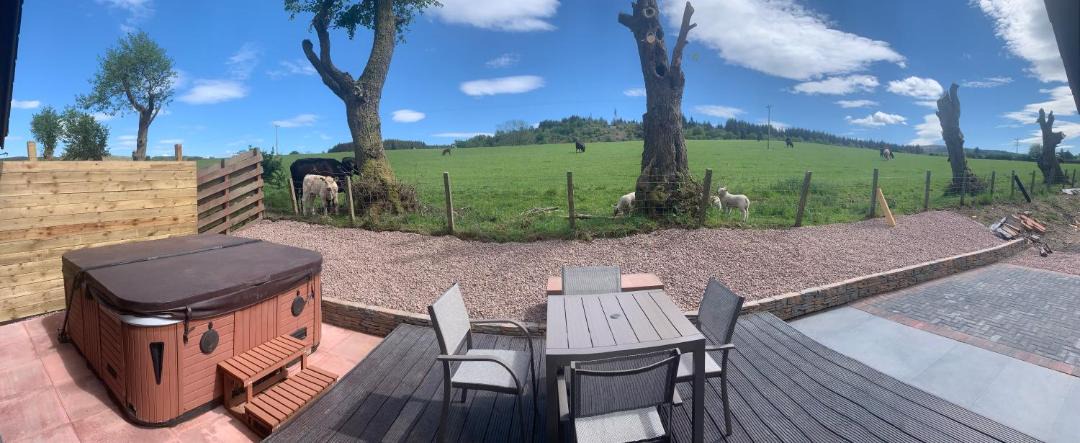 Photo of Others in Dumfries