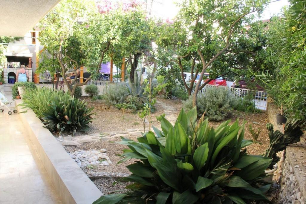 Photo of Others in Donja luka