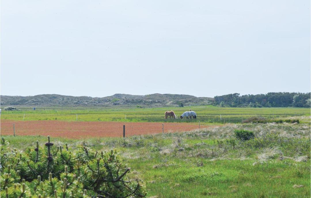 Photo of Others in Kandestederne