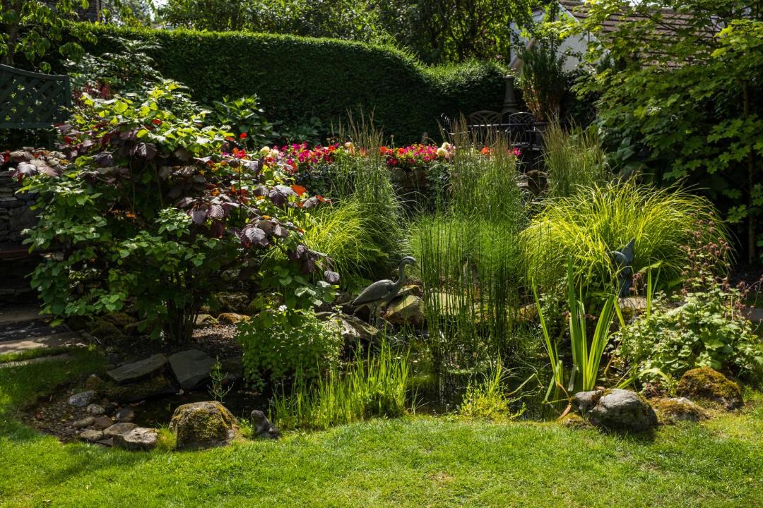 Photo of Others in Windermere