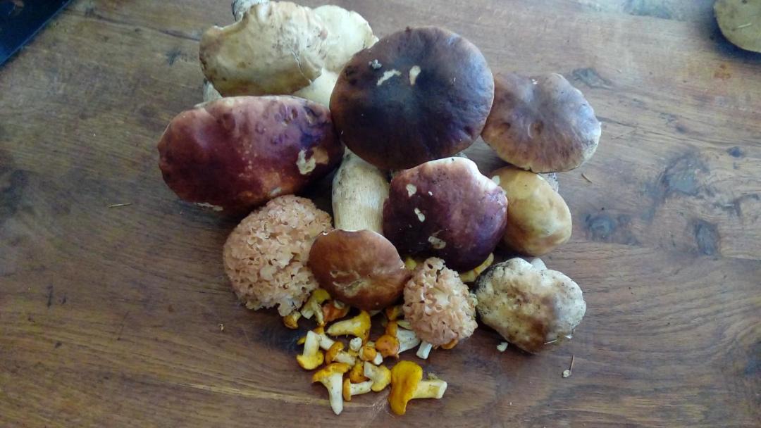 Photo of Human In Picture in Saint-Sauveur-la-Sagne