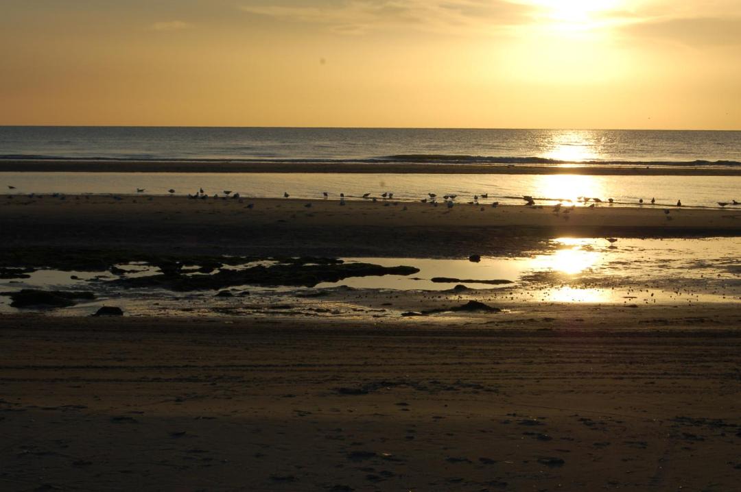 Photo of Others in Camiers