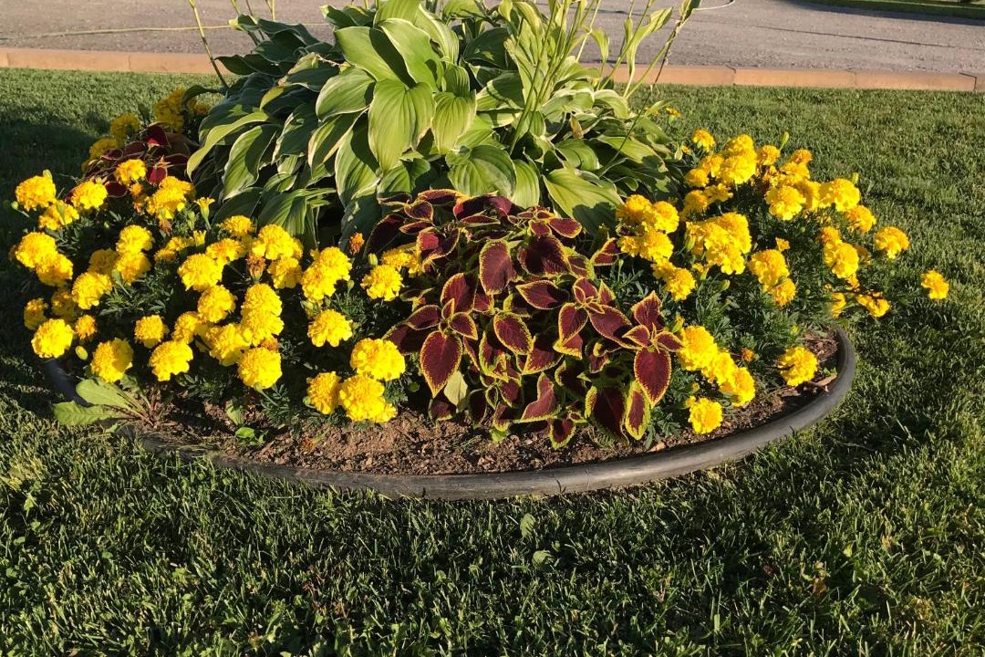 Photo of Outdoor in Sault Ste. Marie