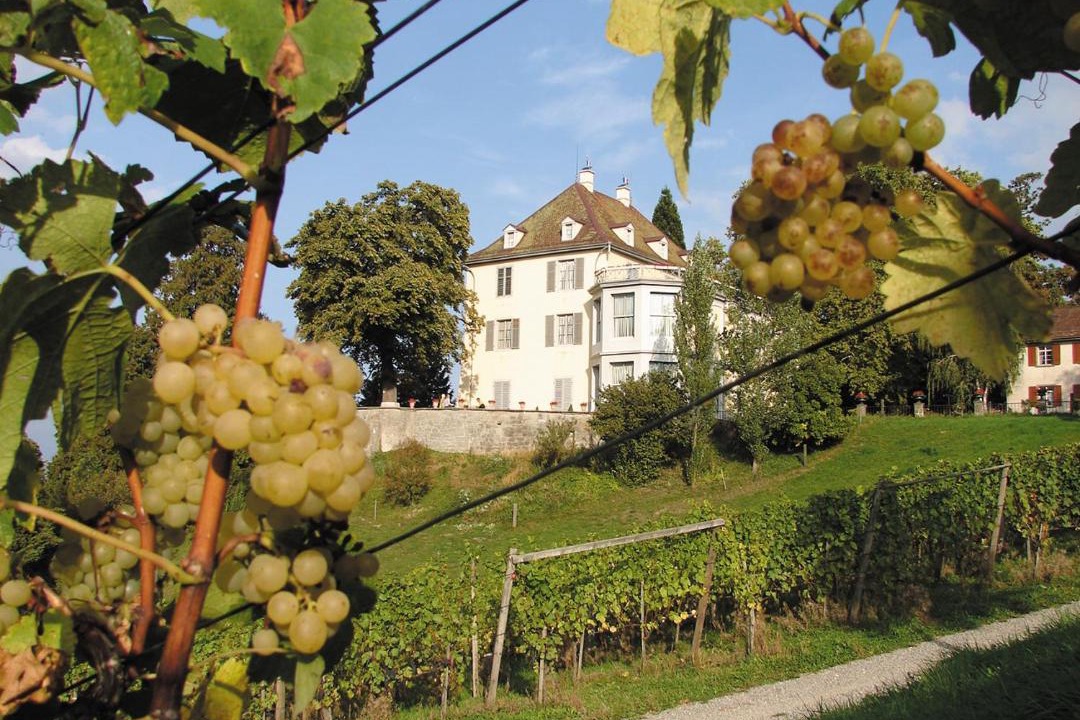 Photo of Others in Mannenbach