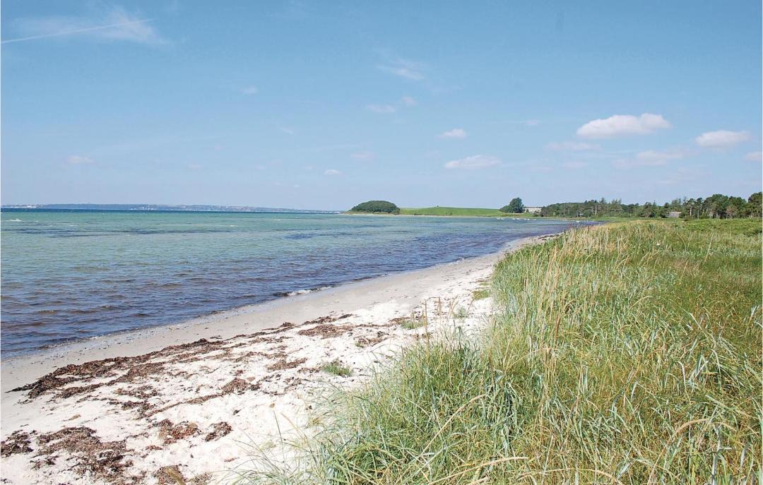 Photo of Others in Skødshoved Strand