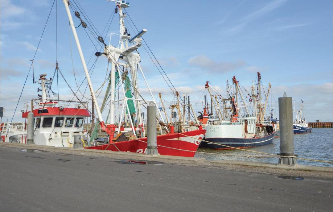 Photo of Others in Kongsmark
