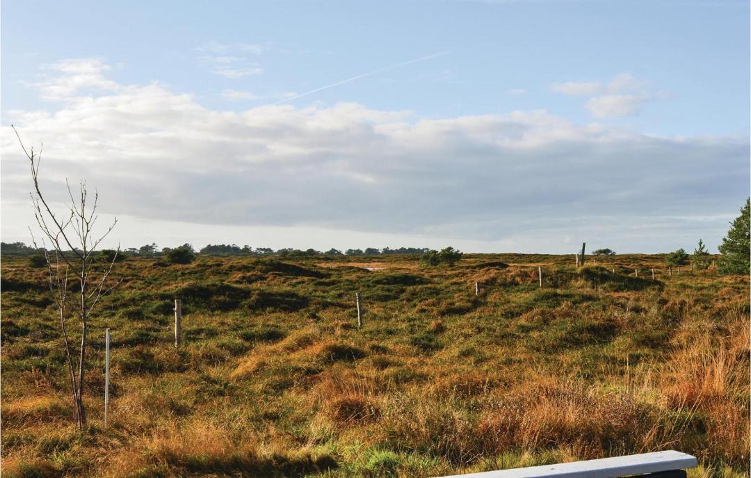 Photo of Outdoor in Kongsmark