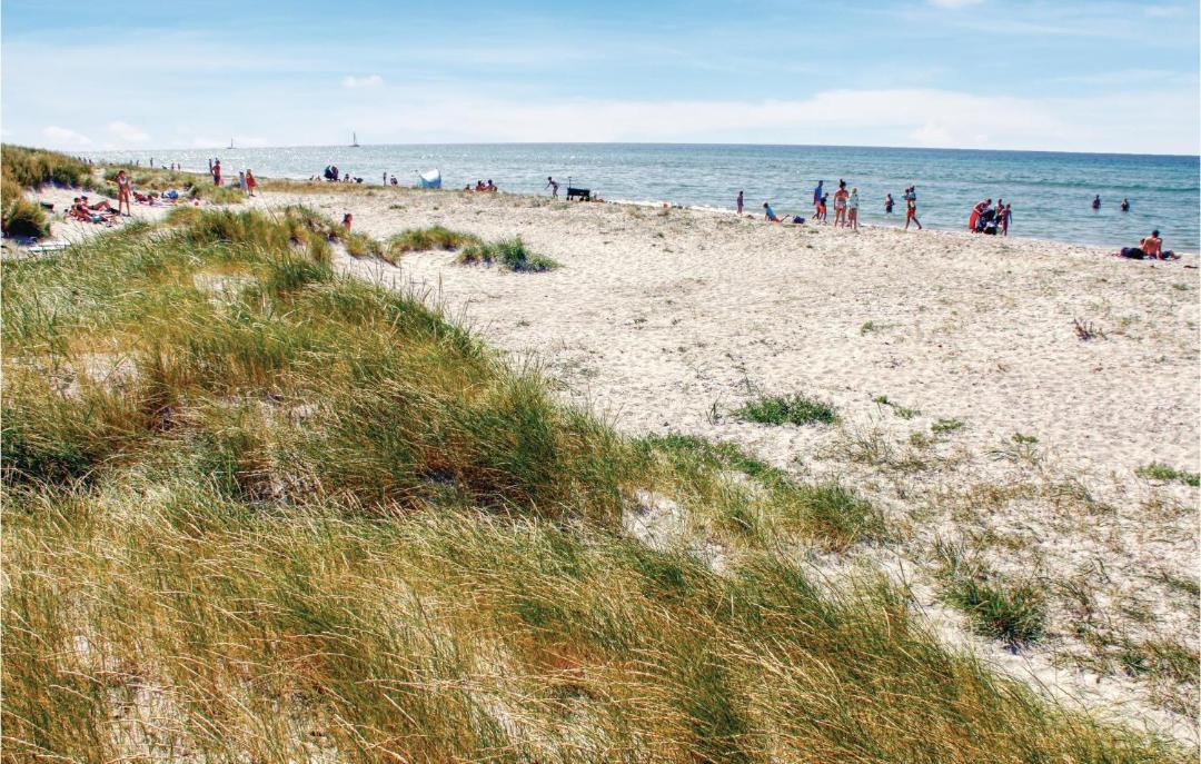 Photo of Others in Øer Strand