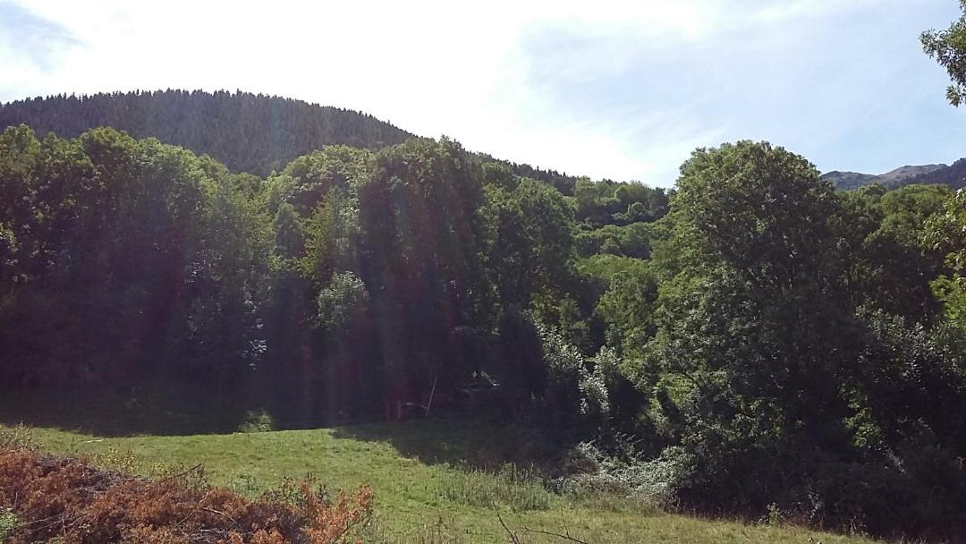 Photo of Outdoor in Vielha