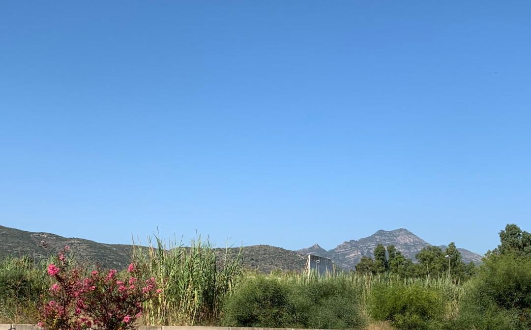 Photo of Outdoor in Grau i Platja