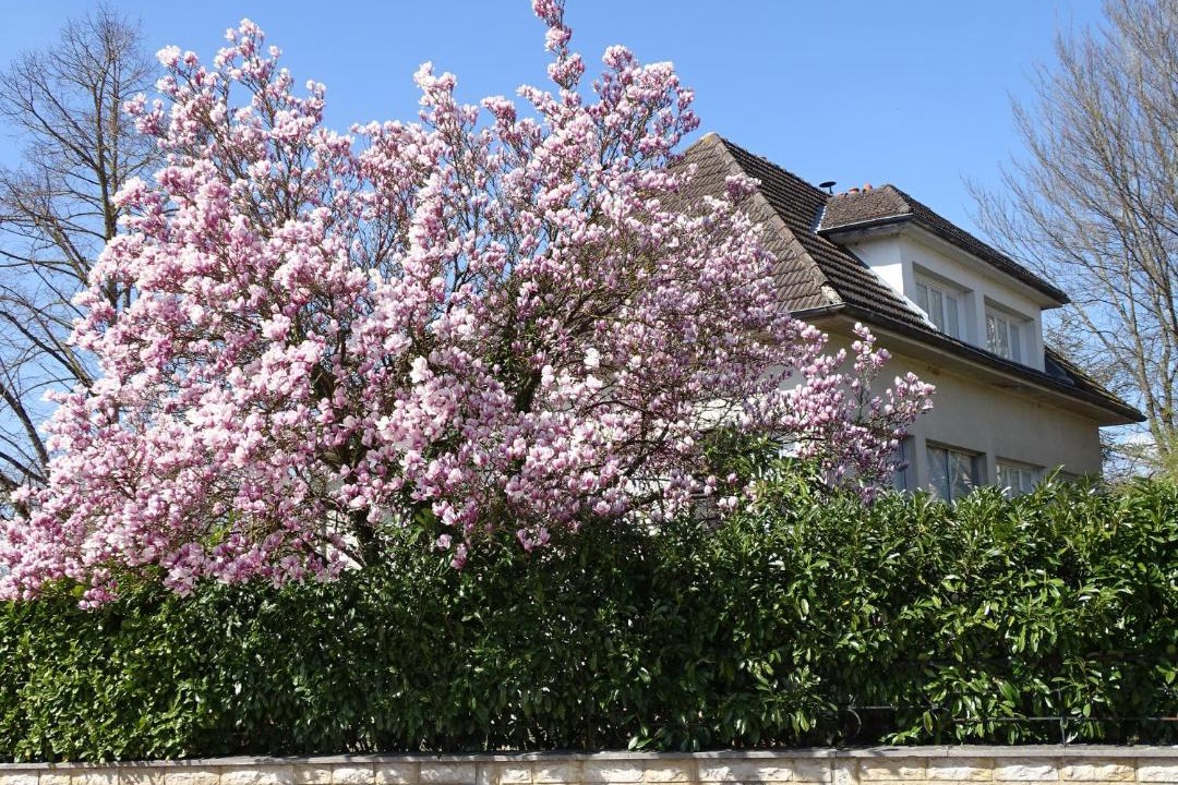 Photo of Others in Esbarres