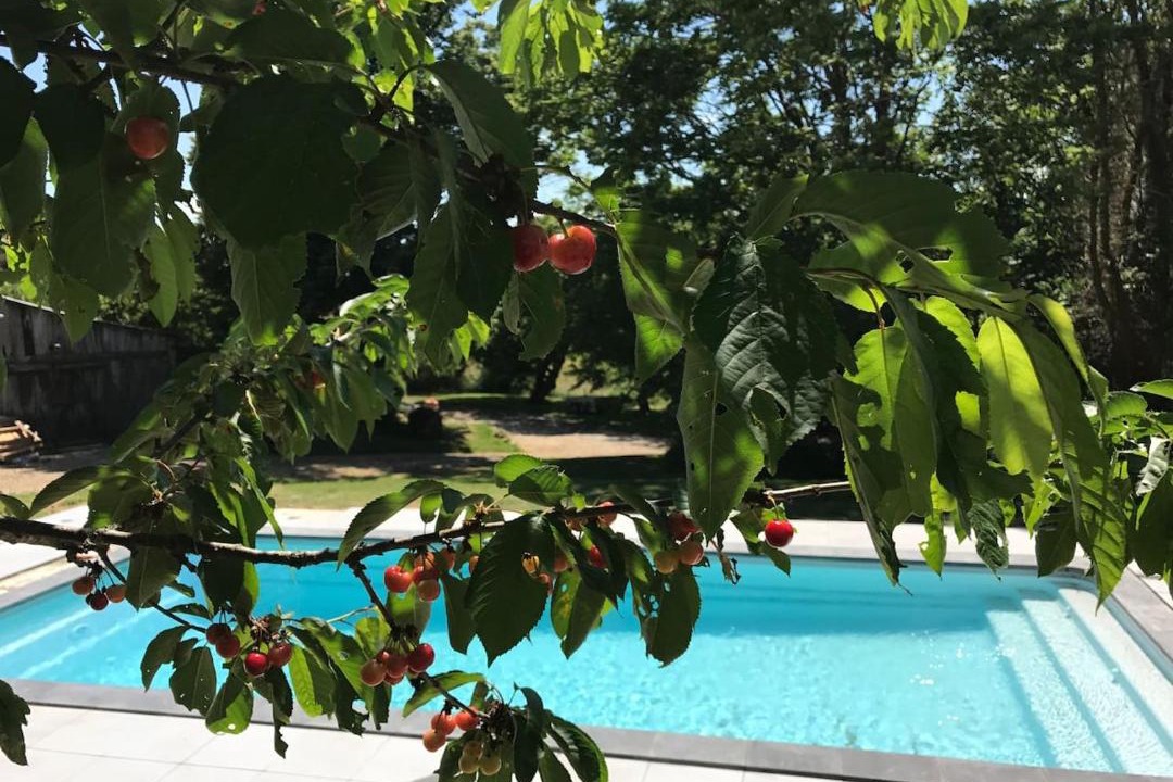 Photo of Others in Villefranche-d'Albigeois