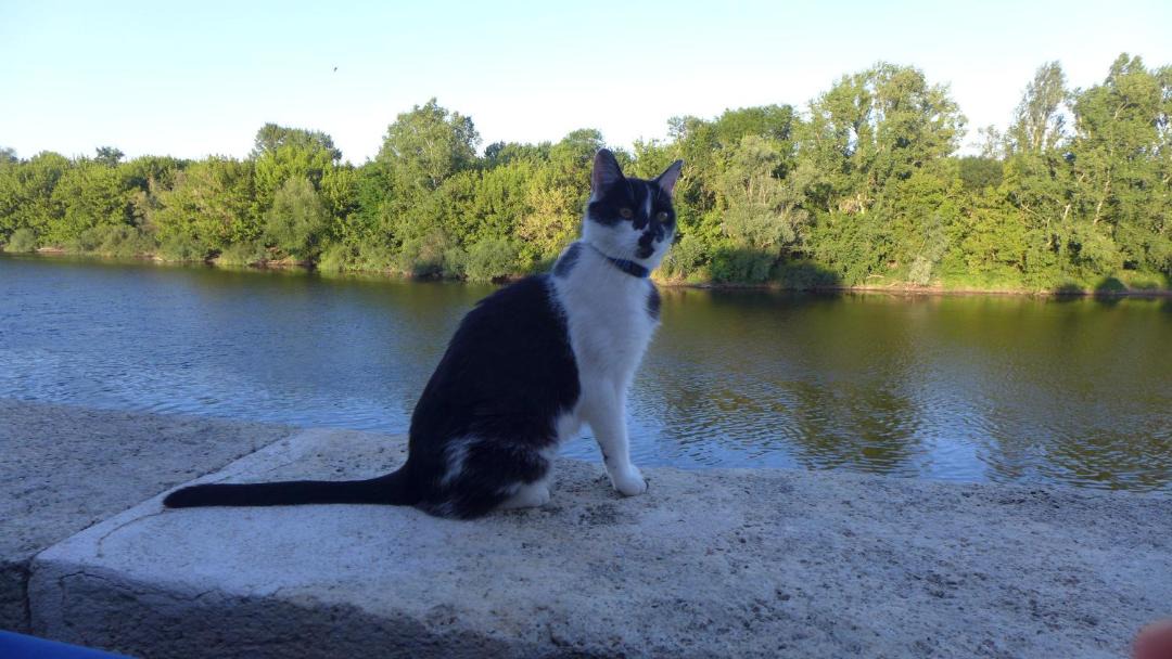 Photo of Others in Flaujagues