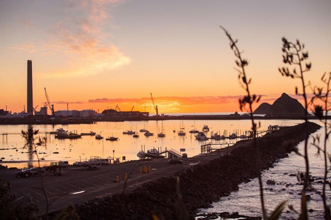 Photo of Others in New Plymouth