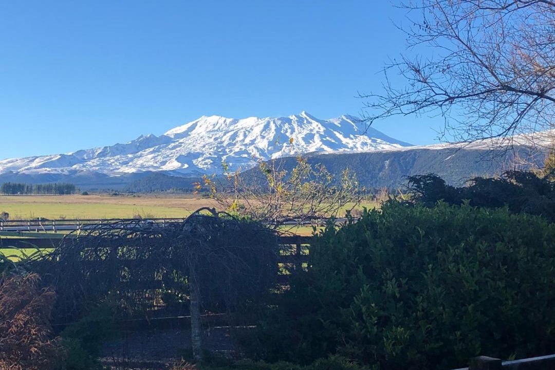 Photo of Others in National Park Village