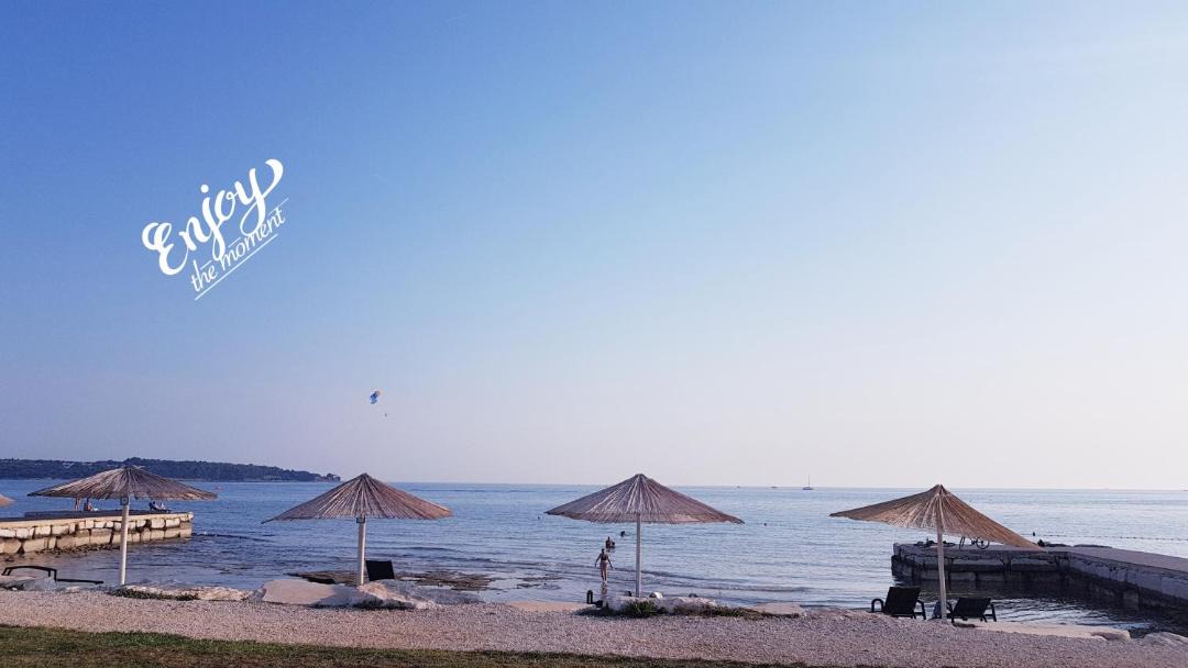 Photo of Others in Novigrad