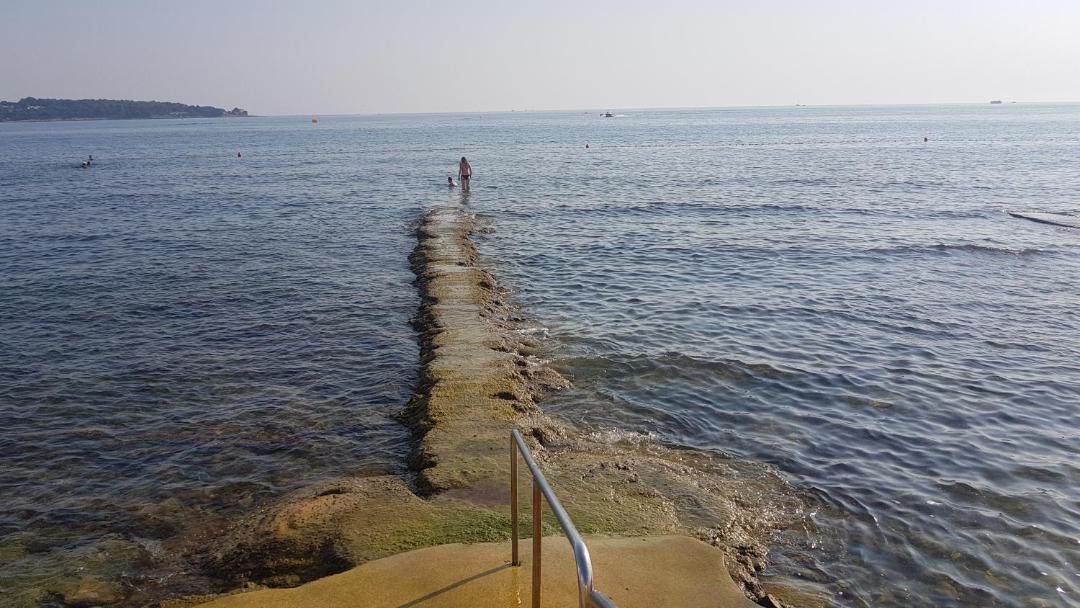 Photo of Outdoor in Novigrad