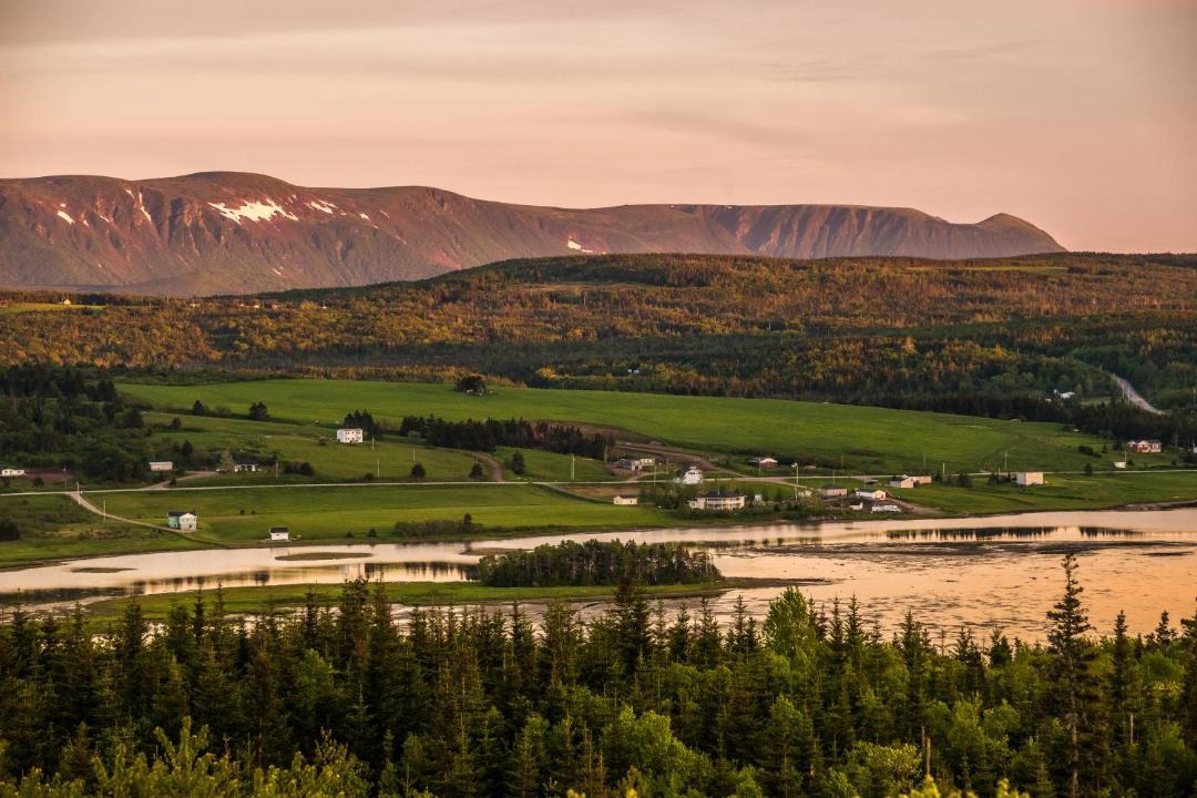 Photo of Others in Codroy