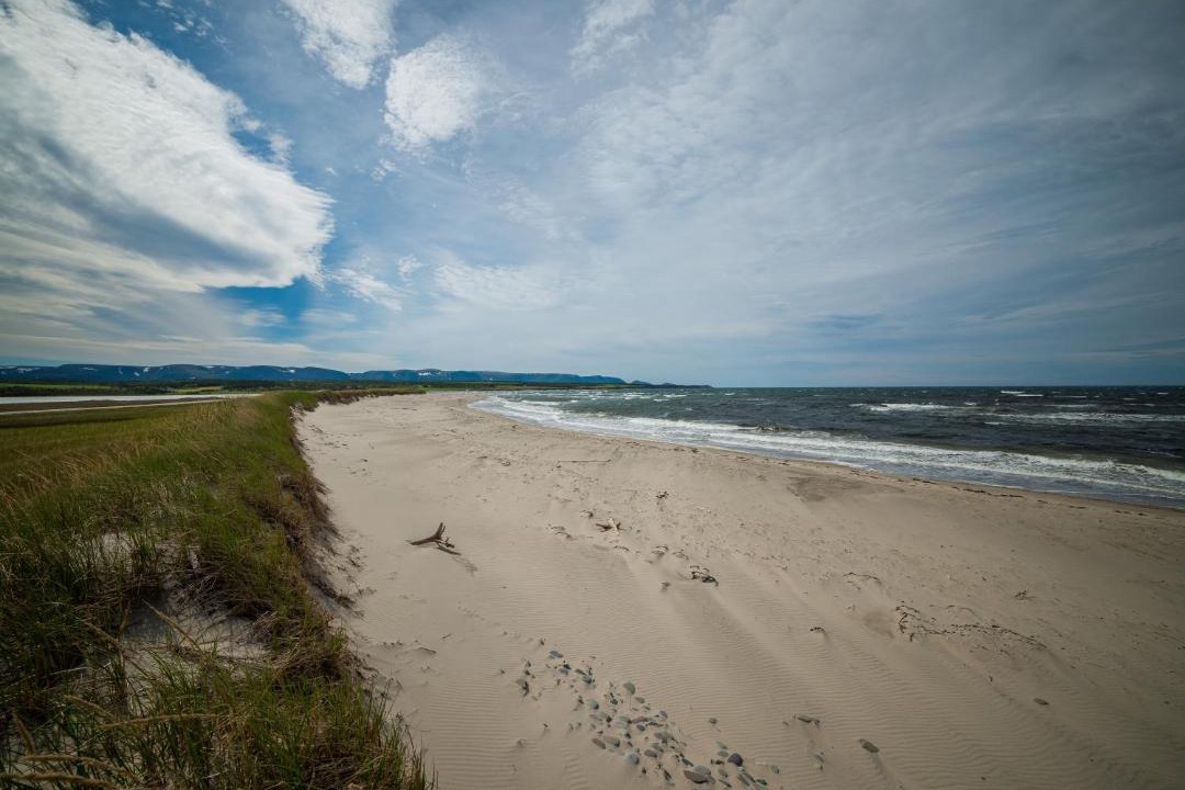 Photo of Others in Codroy