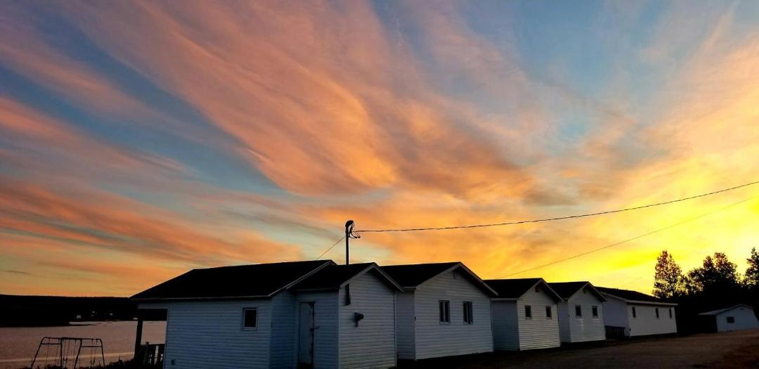 Photo of Others in Codroy