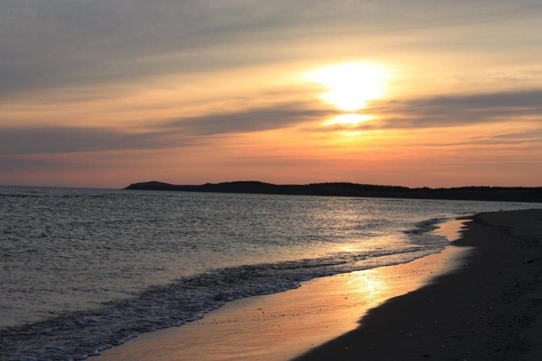 Photo of Others in Codroy