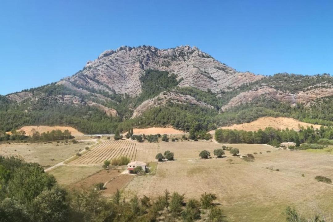 Photo of Outdoor in Prat de Comte