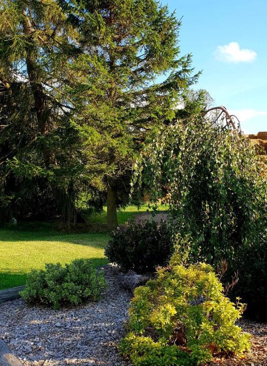 Photo of Outdoor in Alford