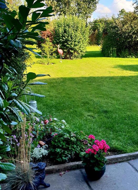 Photo of Others in Alford